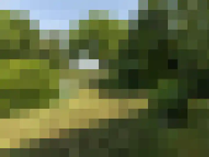 Merendreef 6 Valkenswaard thumbnail 8