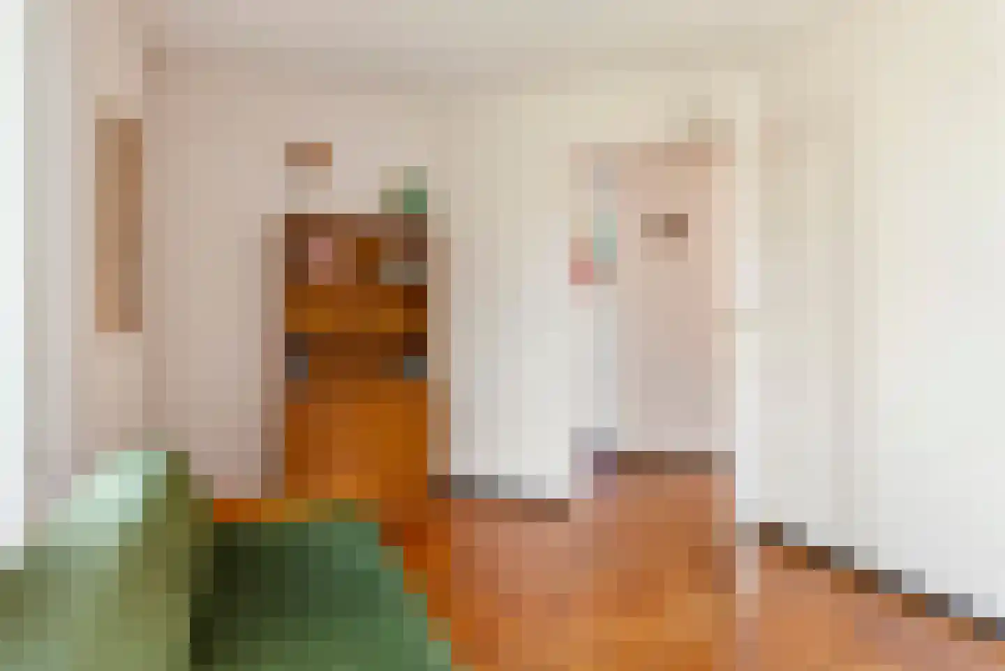 Merenriet 34 Maurik thumbnail 24