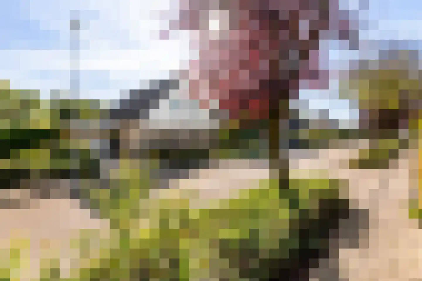 Merenriet 34 Maurik thumbnail 41