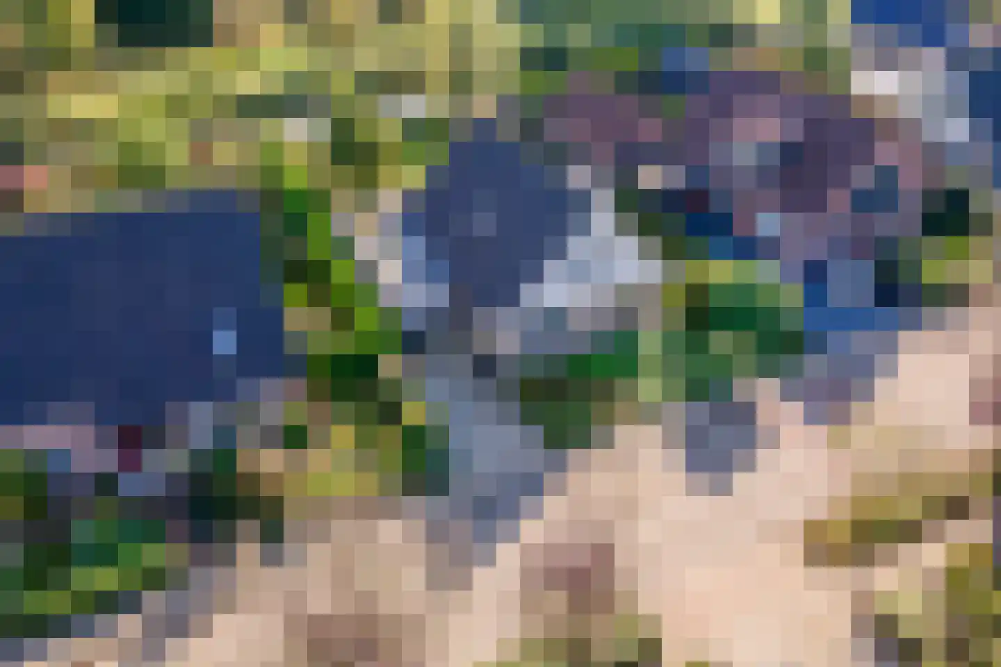 Merenriet 34 Maurik thumbnail 44