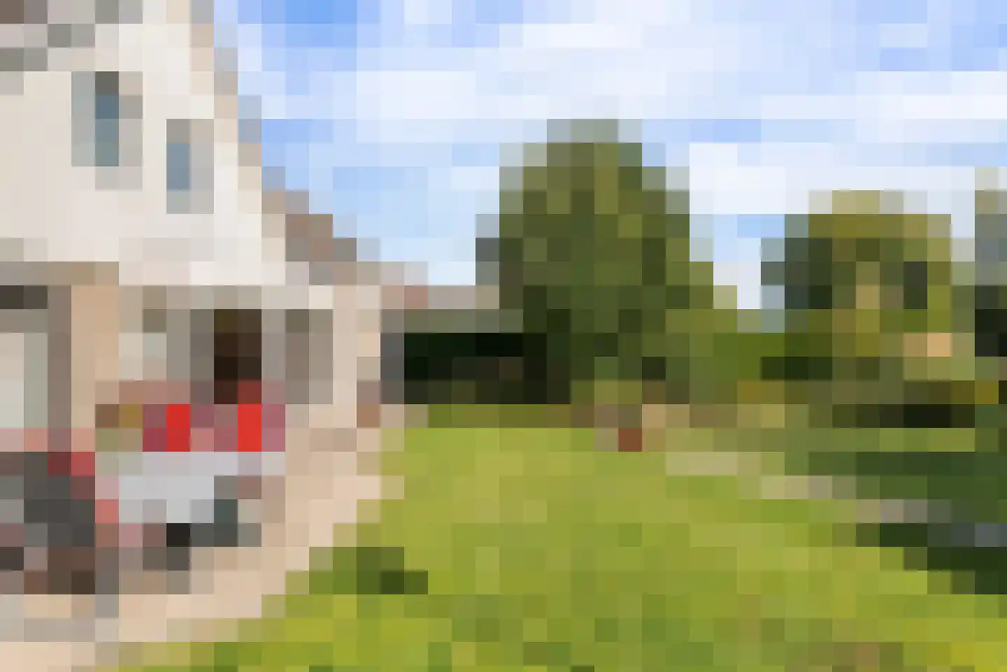 Merenriet 34 Maurik thumbnail 46