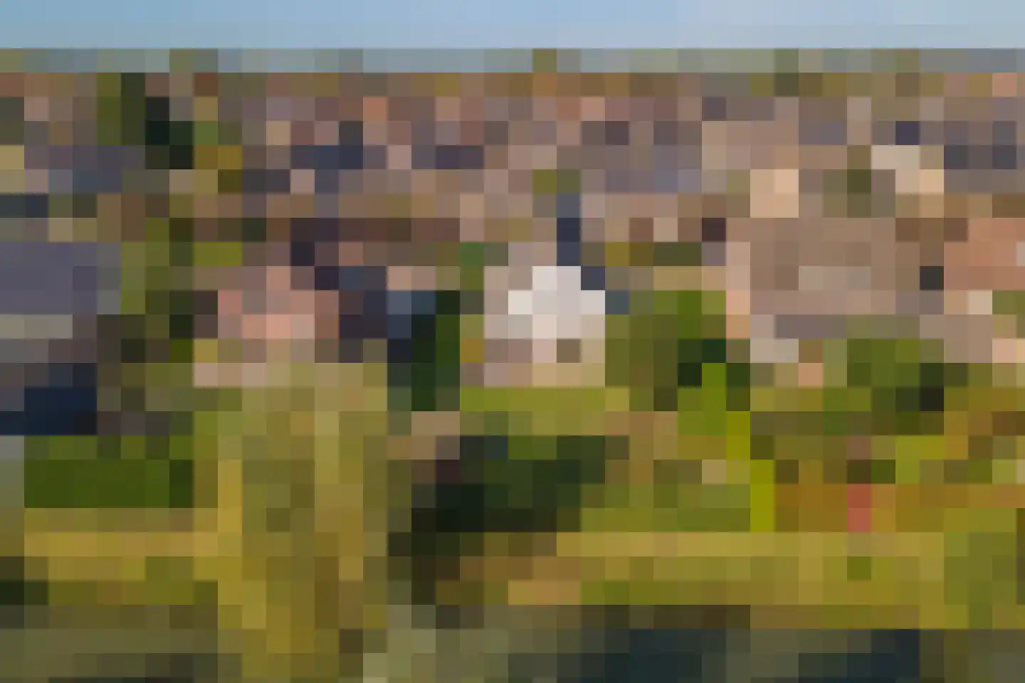 Merenriet 34 Maurik thumbnail 49