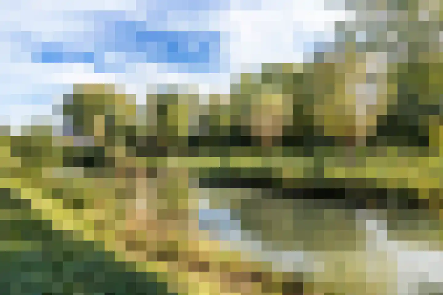 Merenriet 34 Maurik thumbnail 5