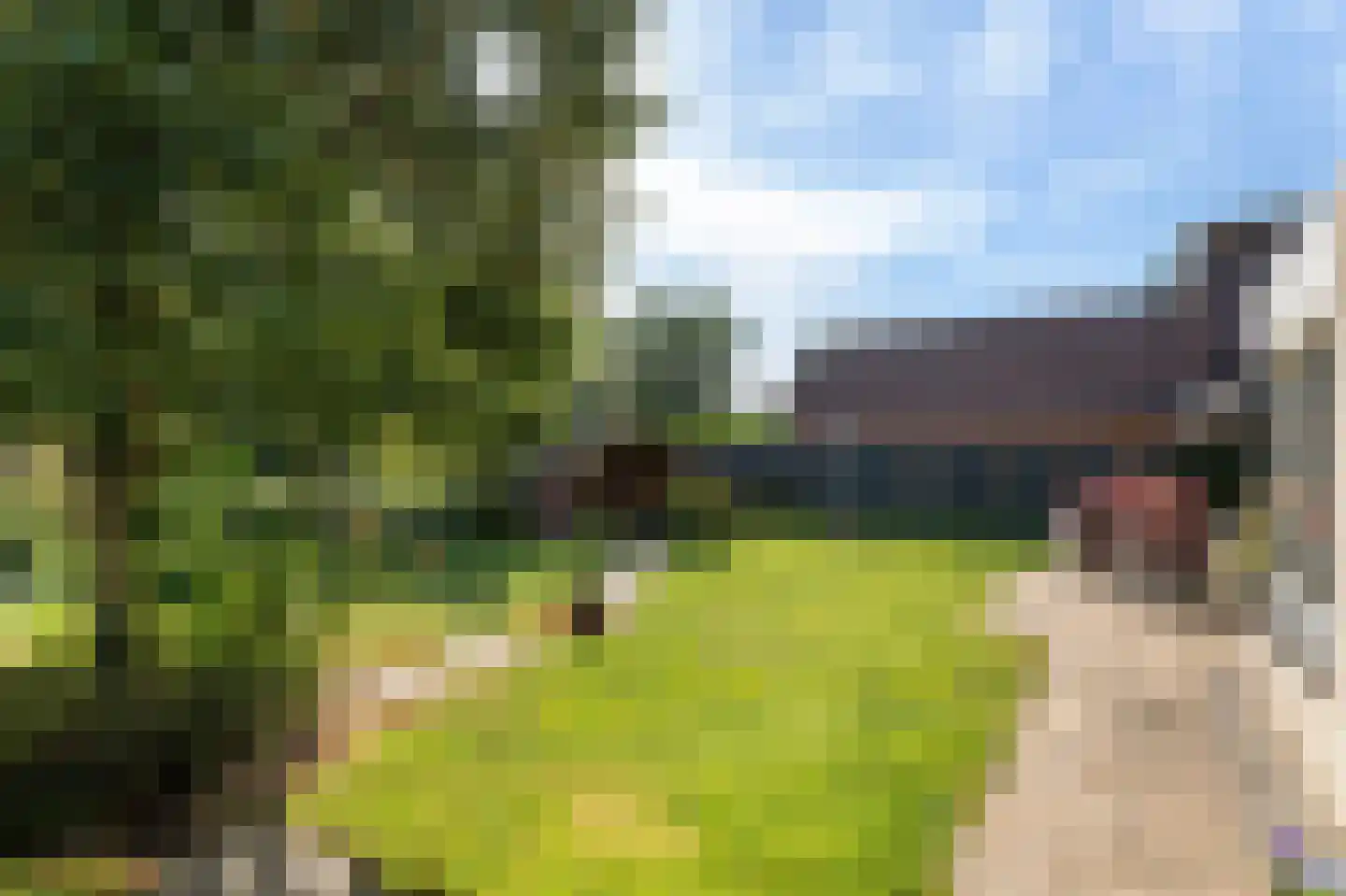 Merenriet 34 Maurik thumbnail 50