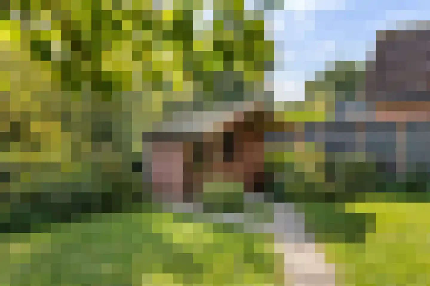Merenriet 34 Maurik thumbnail 51