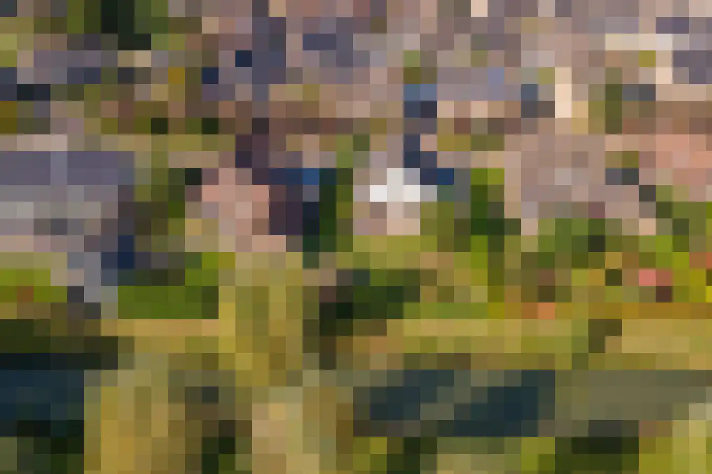 Merenriet 34 Maurik thumbnail 53