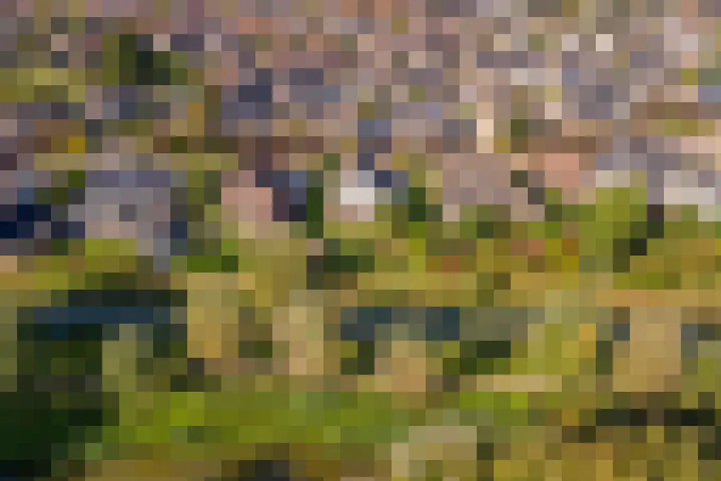 Merenriet 34 Maurik thumbnail 54