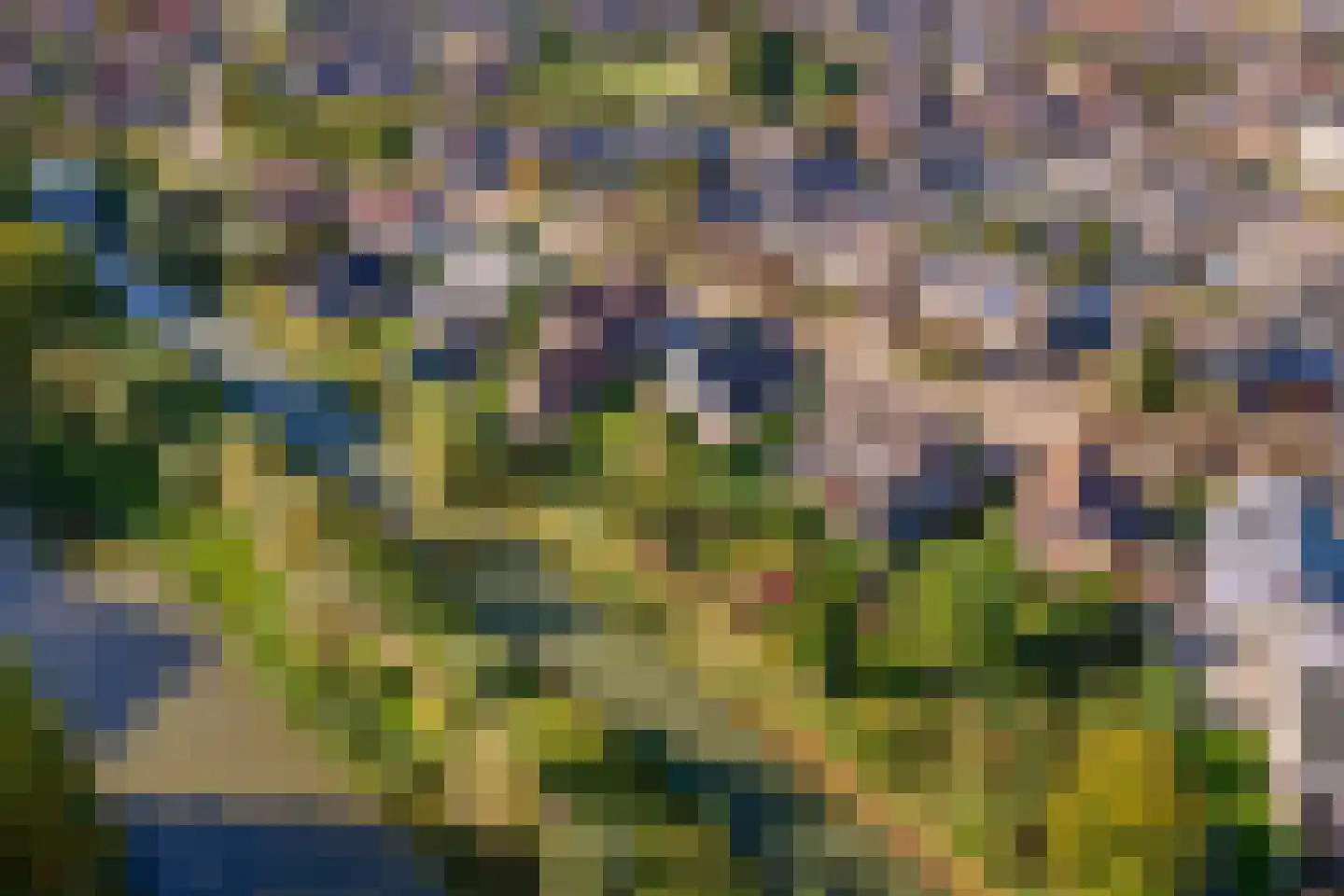 Merenriet 34 Maurik thumbnail 55