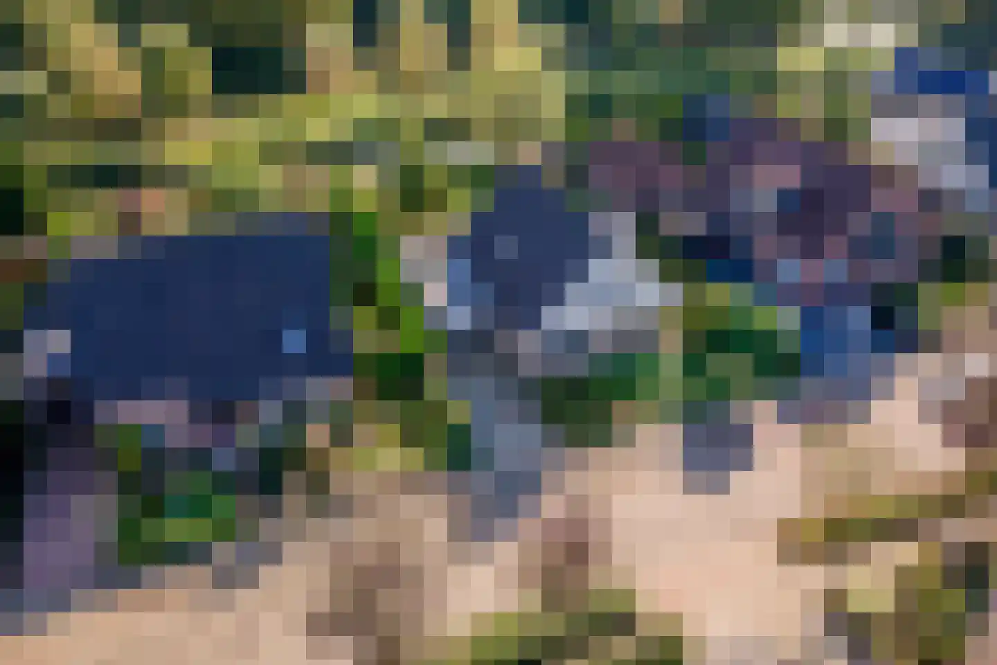 Merenriet 34 Maurik thumbnail 58