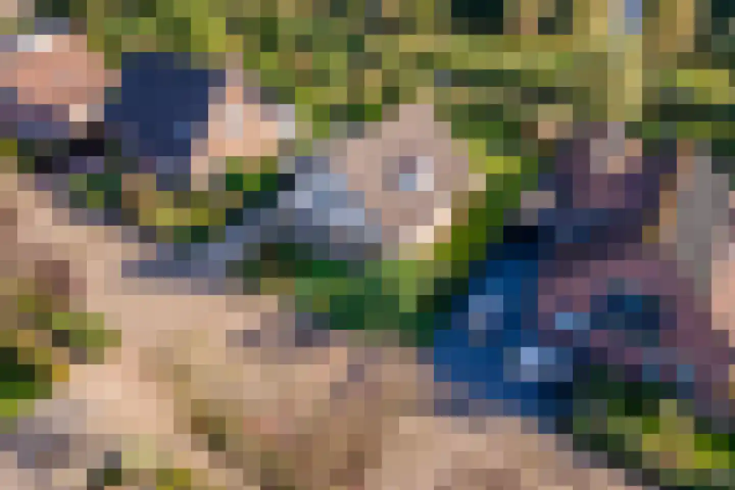 Merenriet 34 Maurik thumbnail 59