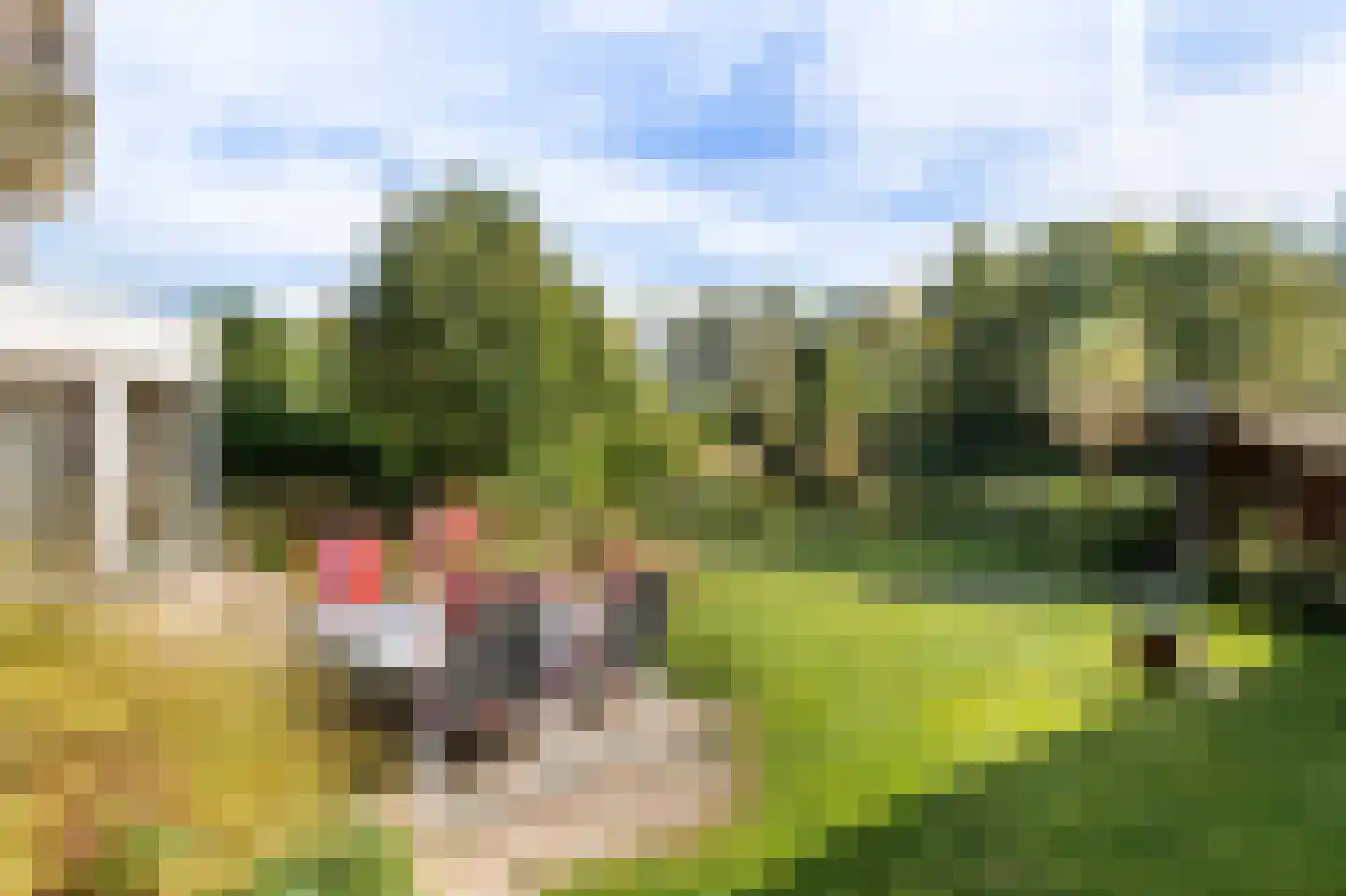 Merenriet 34 Maurik thumbnail 6