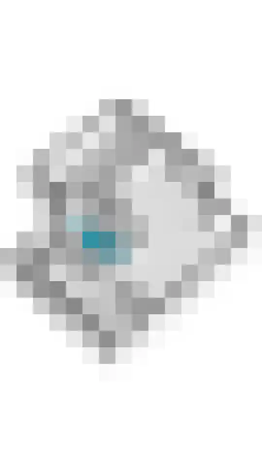 Merenriet 34 Maurik thumbnail 62