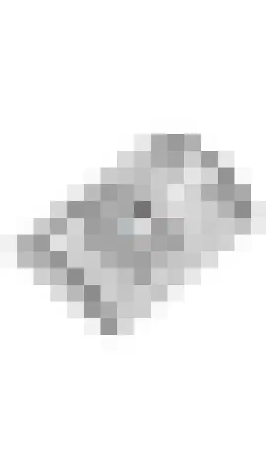 Merenriet 34 Maurik thumbnail 64