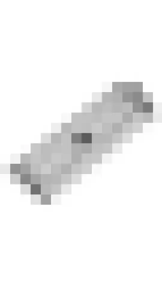Merenriet 34 Maurik thumbnail 66