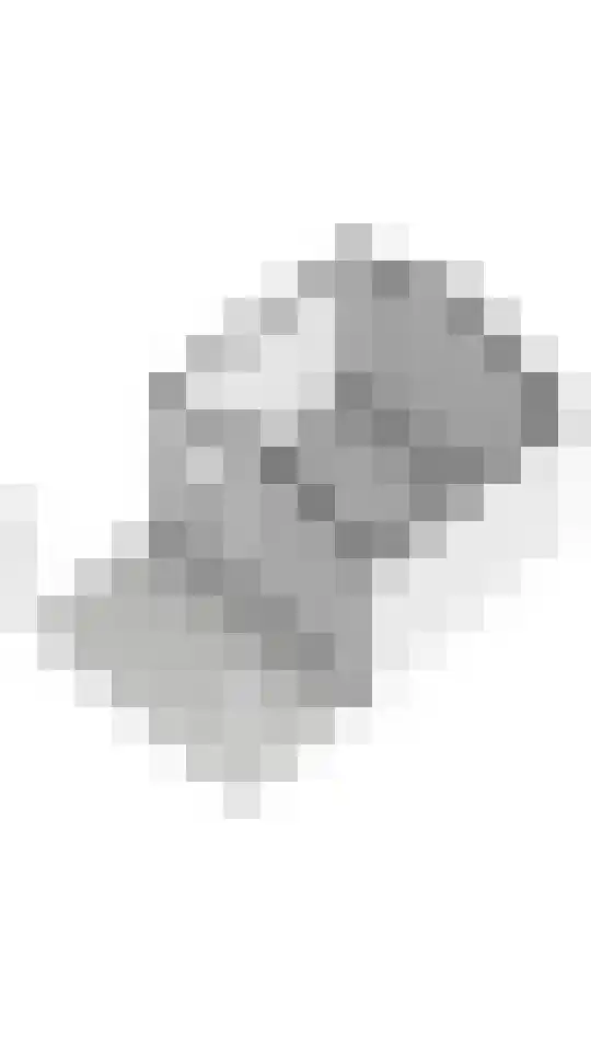 Merenriet 34 Maurik thumbnail 68