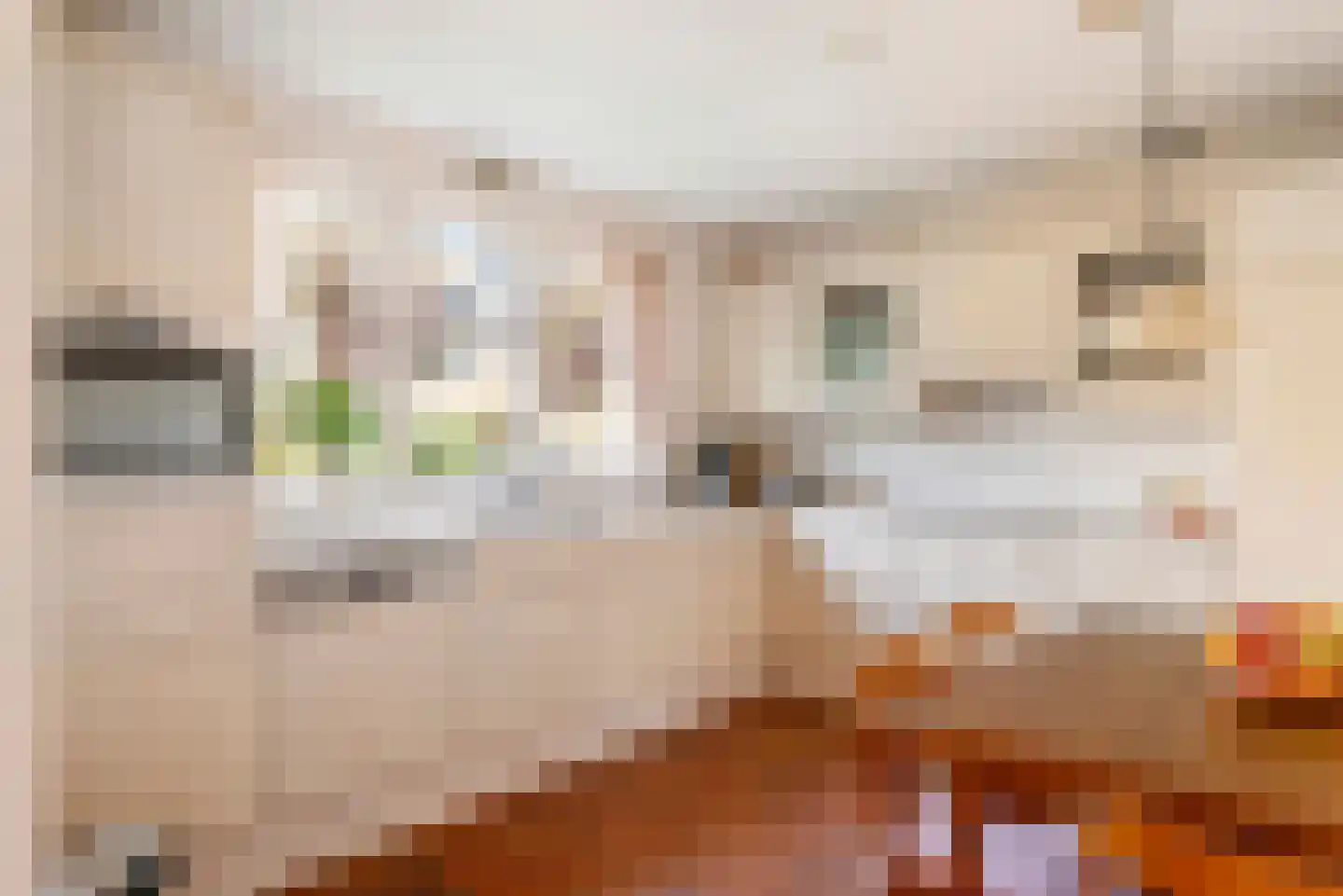 Merenriet 34 Maurik thumbnail 8