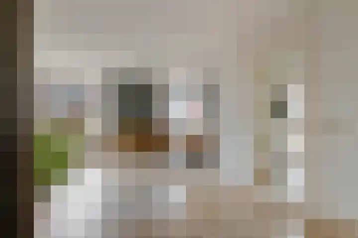 Merenriet 6 Maurik thumbnail 11