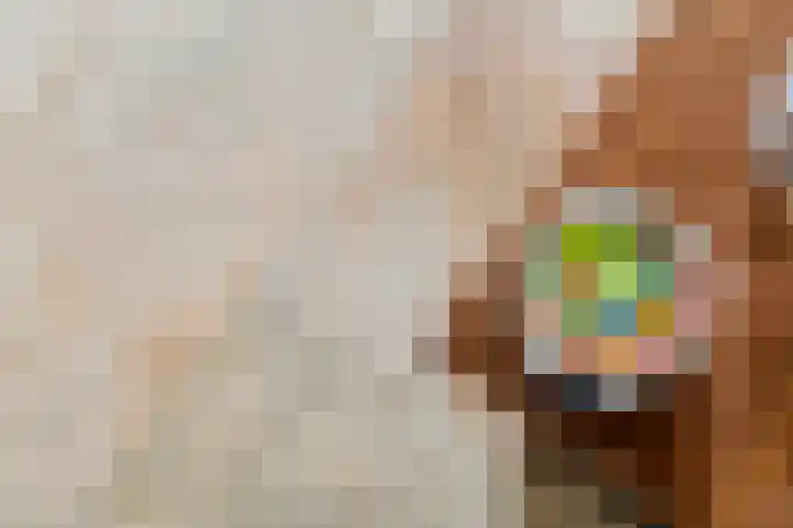 Merenriet 6 Maurik thumbnail 14