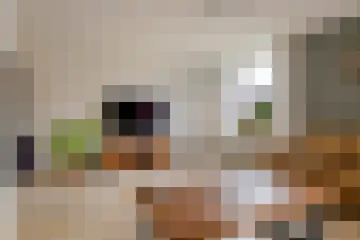 Merenriet 6 Maurik thumbnail 16