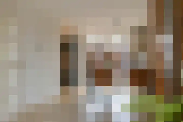 Merenriet 6 Maurik thumbnail 18