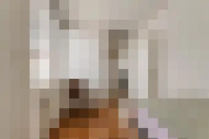 Merenriet 6 Maurik thumbnail 31