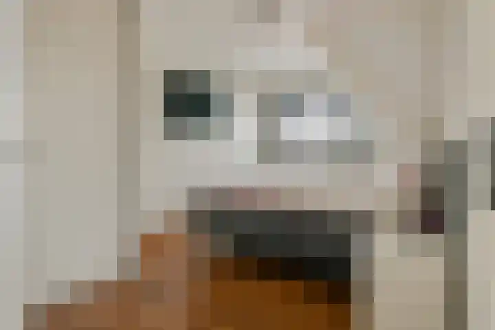 Merenriet 6 Maurik thumbnail 32
