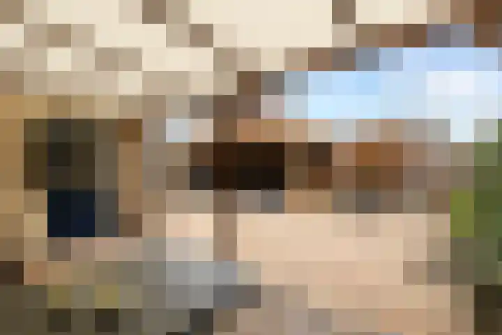 Merenriet 6 Maurik thumbnail 4
