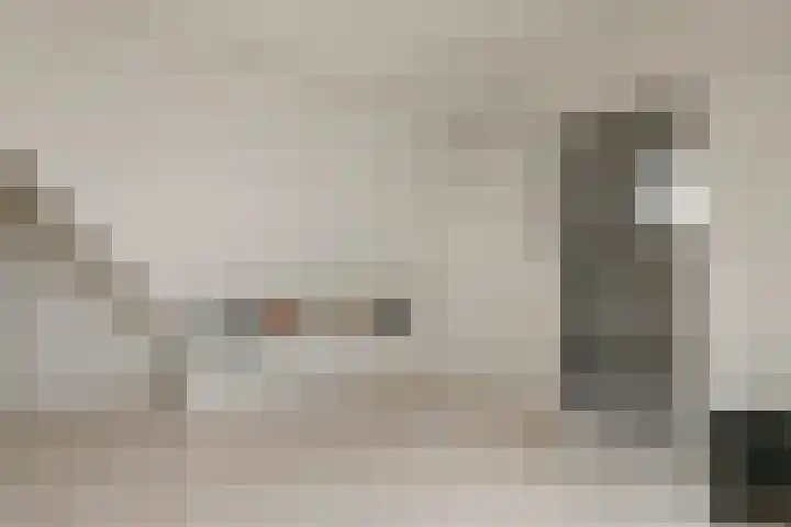 Merenriet 6 Maurik thumbnail 41
