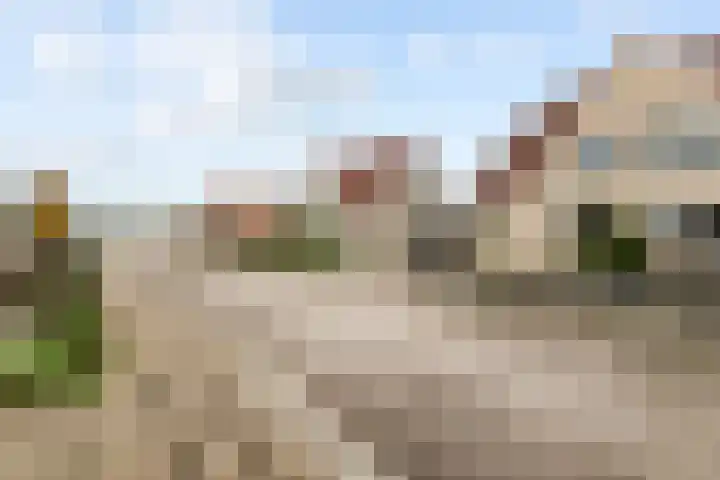 Merenriet 6 Maurik thumbnail 45