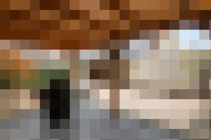 Merenriet 6 Maurik thumbnail 8