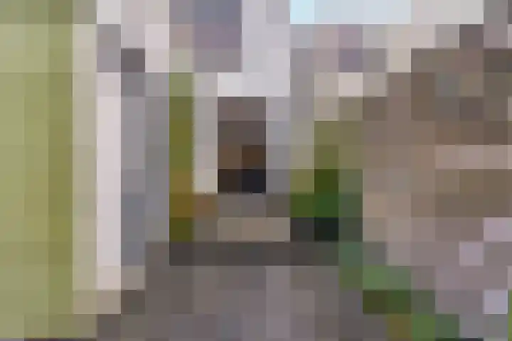 Merensstraat 62 Hoorn thumbnail 20
