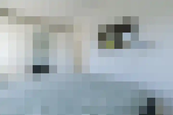 Merensteinplein 2 Beek en Donk thumbnail 14