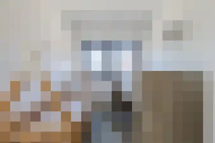 Merensteinplein 2 Beek en Donk thumbnail 16