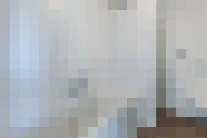 Merensteinplein 2 Beek en Donk thumbnail 17