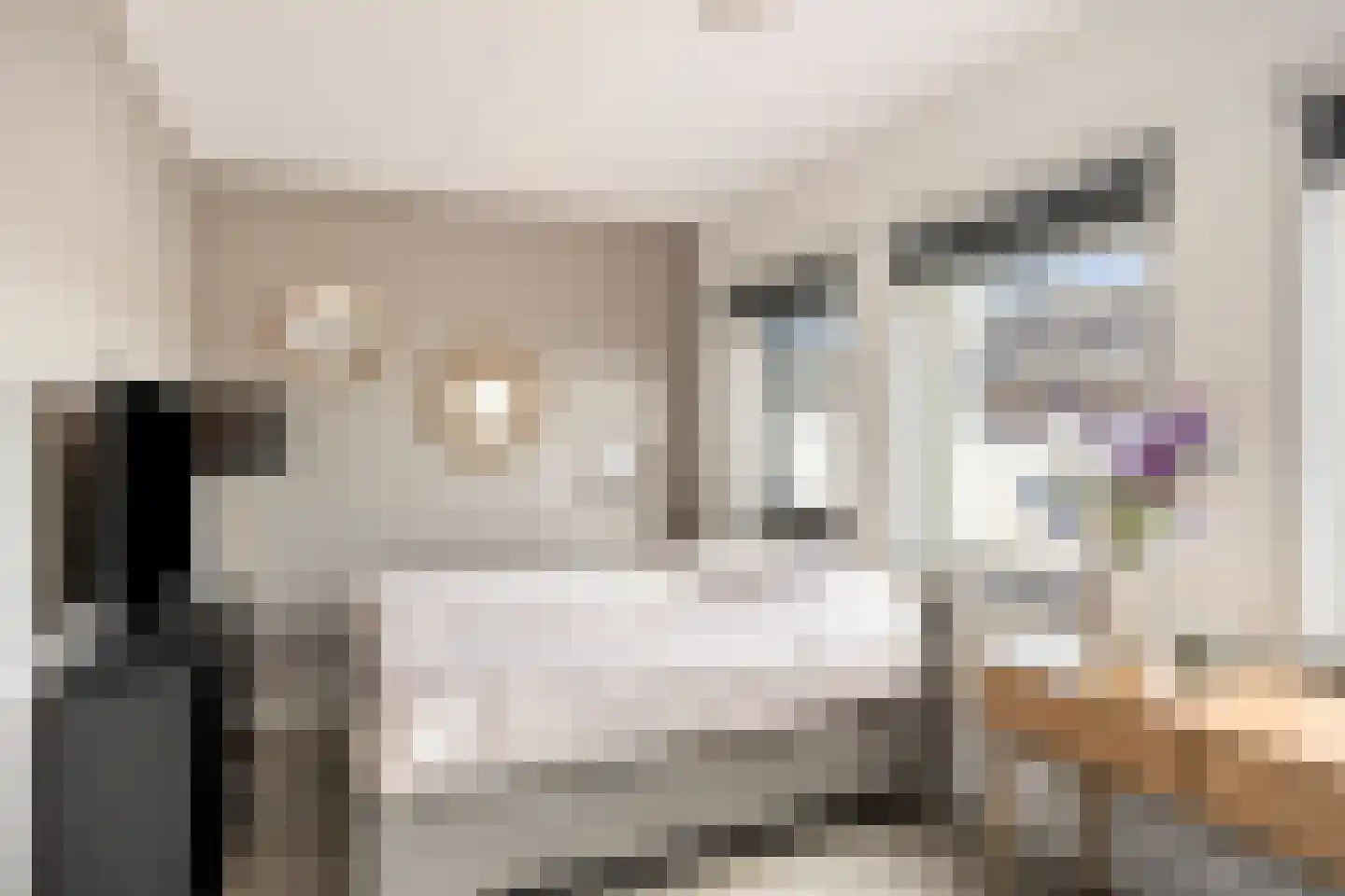 Merensteinplein 2 Beek en Donk thumbnail 17