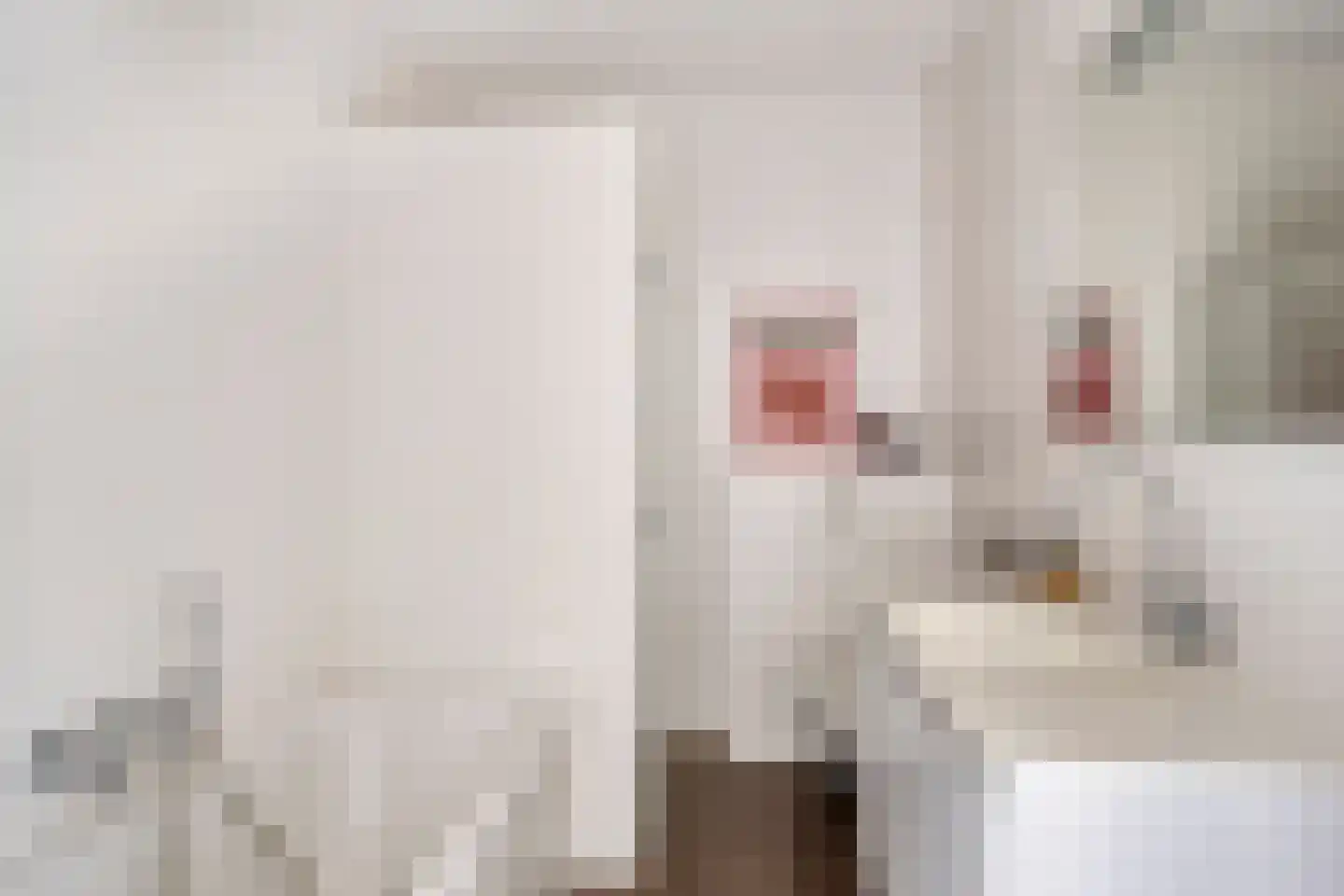 Merensteinplein 2 Beek en Donk thumbnail 21
