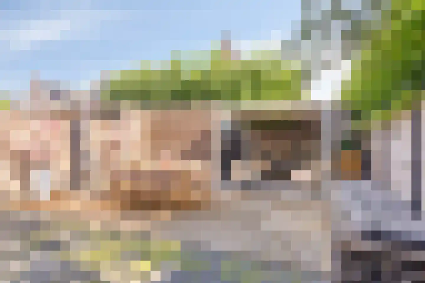 Merensteinplein 2 Beek en Donk thumbnail 26