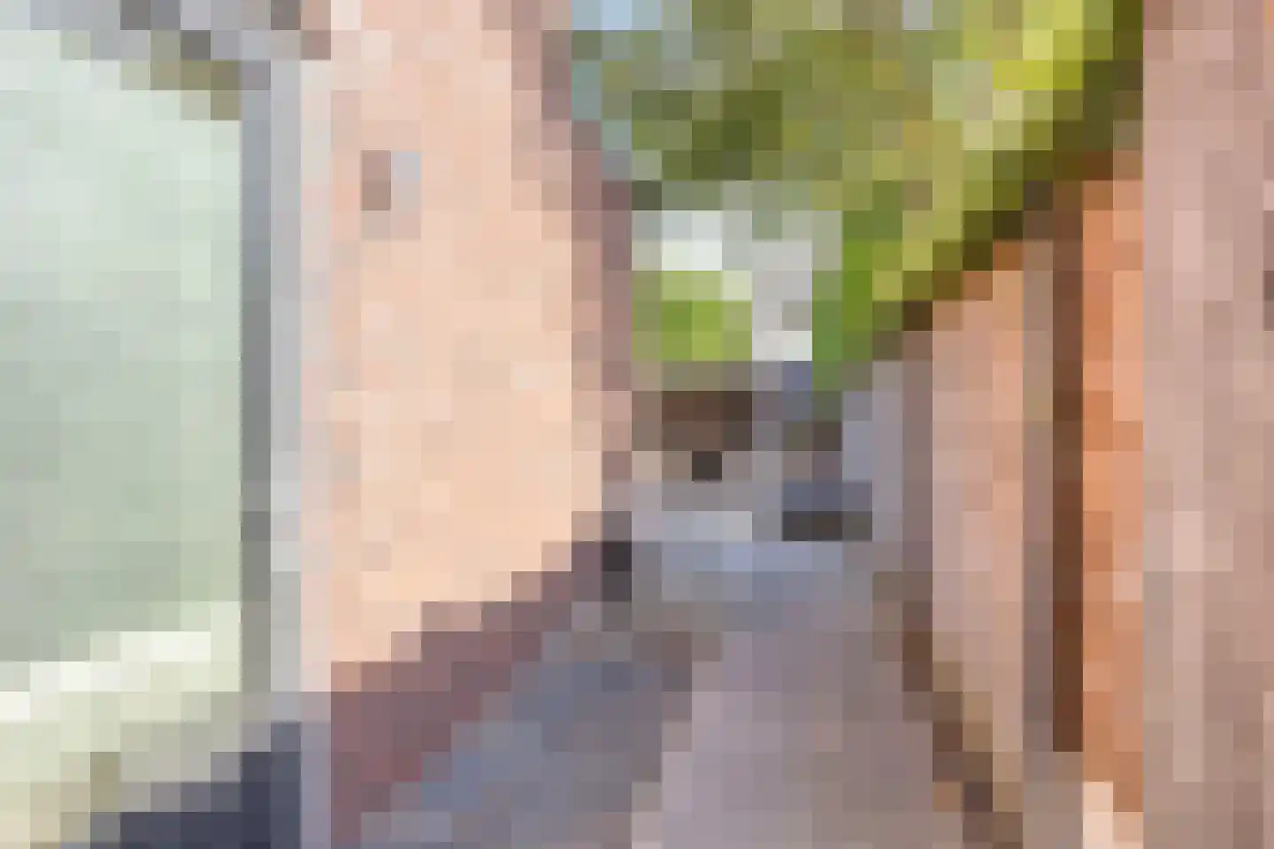 Merensteinplein 2 Beek en Donk thumbnail 29