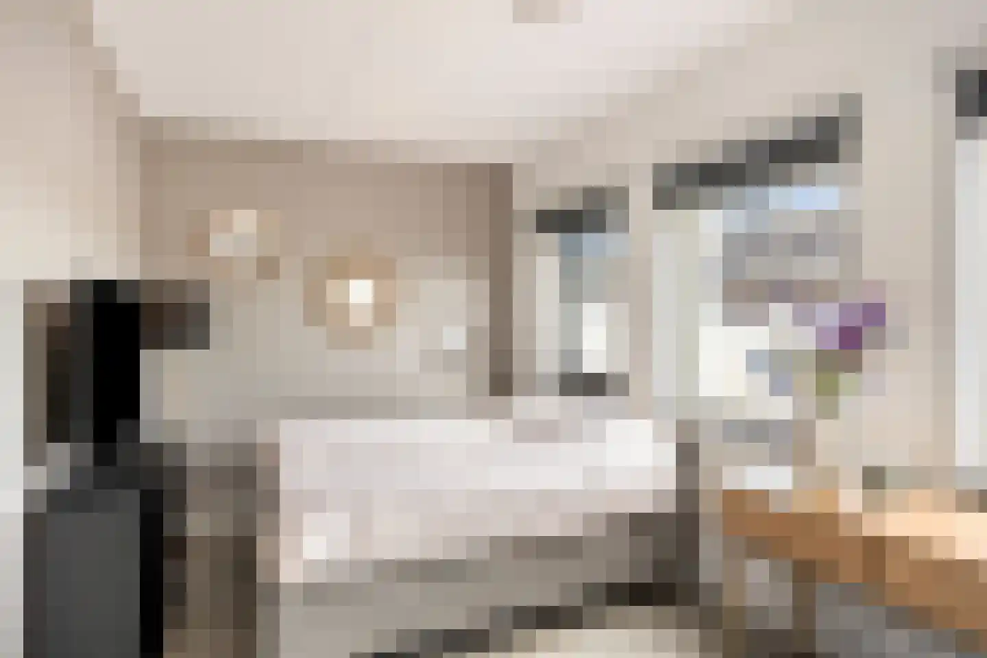 Merensteinplein 2 Beek en Donk thumbnail 5