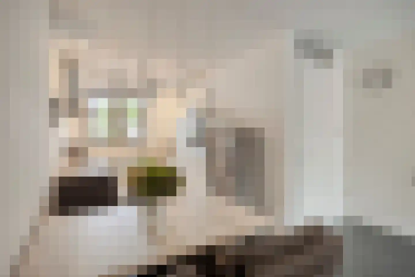 Merensteinplein 21 Beek en Donk thumbnail 10