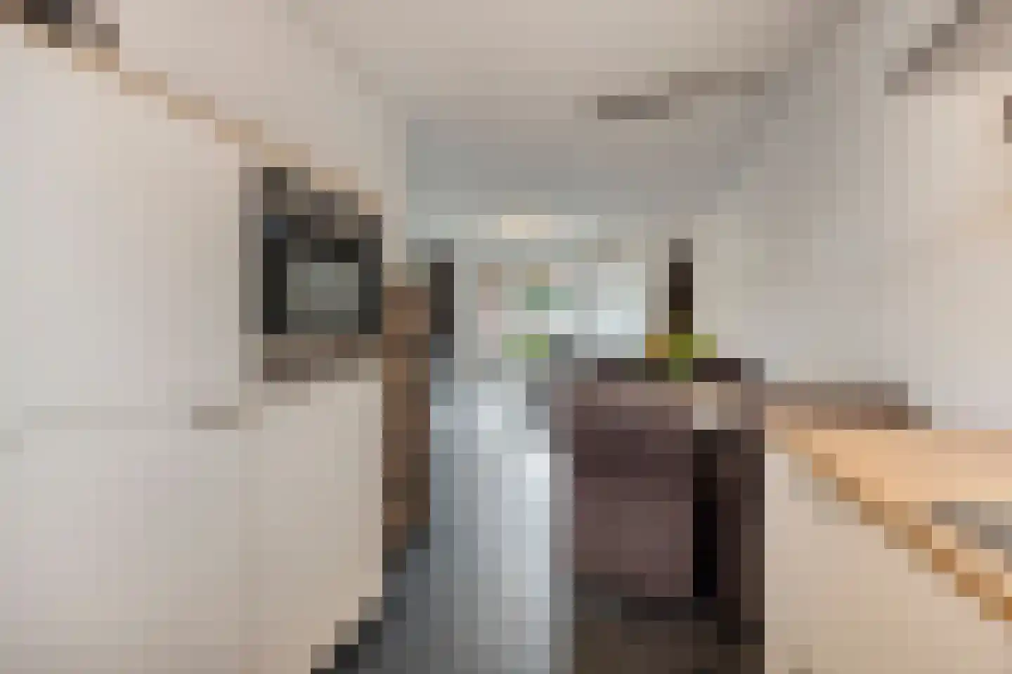 Merensteinplein 21 Beek en Donk thumbnail 12