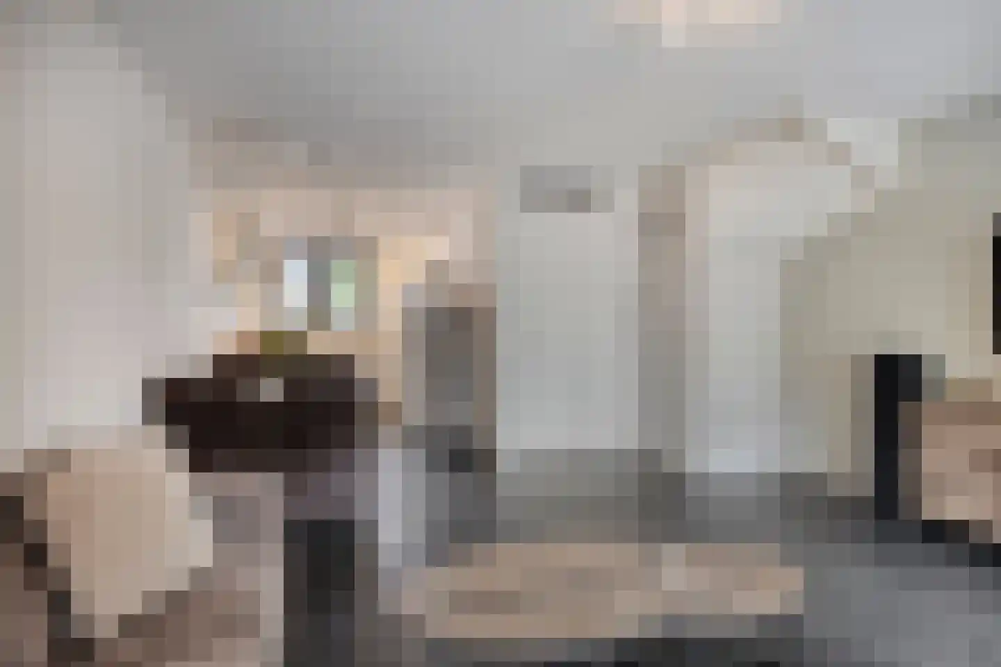 Merensteinplein 21 Beek en Donk thumbnail 7