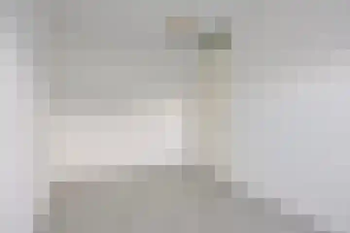 Merensteinplein 25 Beek en Donk thumbnail 21