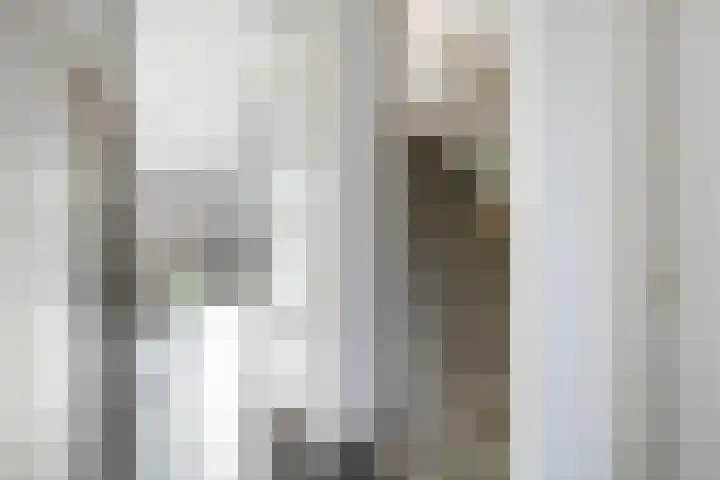 Merensteinplein 3 Beek en Donk thumbnail 12