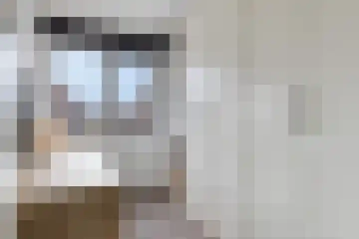 Merensteinplein 3 Beek en Donk thumbnail 18