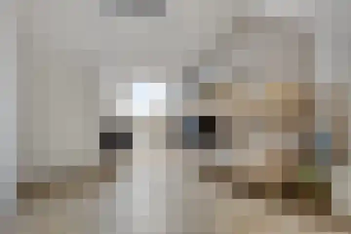 Merensteinplein 3 Beek en Donk thumbnail 23