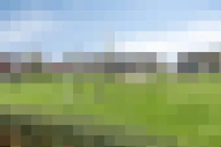 Merensteinplein 3 Beek en Donk thumbnail 29