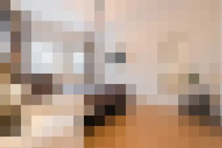Merensteinplein 4 Beek en Donk thumbnail 20