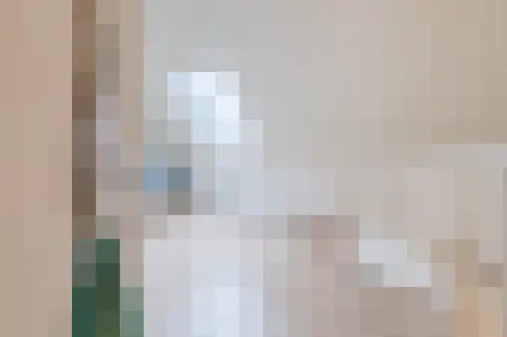 Merensteinplein 4 Beek en Donk thumbnail 32