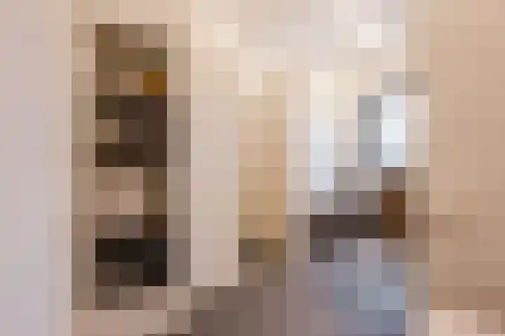 Merensteinplein 4 Beek en Donk thumbnail 4